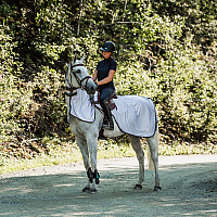 Bederní deka pro koně - Horze Eira proti hmyzu šedá