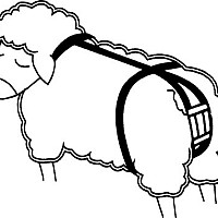 Bandáž proti výhřezu dělohy pro ovce a kozy - nylonová