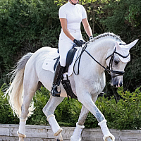 Podsedlová dečka drezurní - Premier Equine Alberta Satin