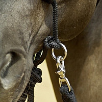Jezdecká ohlávka pro koně - Busse Rings provazová