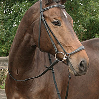 Kožená uzdečka Harry's Horse Drop s hannoverským nánosníkem černá