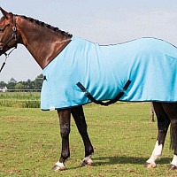 Odpocovací deka Harry's Horse Colour vínová
