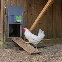 Dvířka kurníku pro slepice s elektronickým vrátným KERBL Door Easy