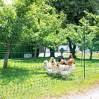 Vodivá síť pro drůbež PoultryNet 106 cm x 15 m zelená dvojitá špička