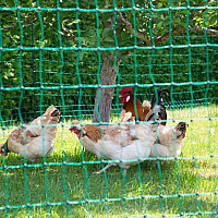 Vodivá síť pro drůbež PoultryNet 106 cm x 15 m zelená dvojitá špička