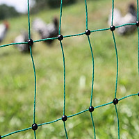 Vodivá síť pro drůbež PoultryNet 106 cm x 15 m zelená dvojitá špička