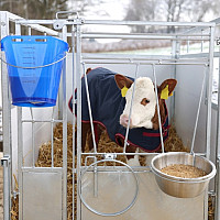 Deka pro telata KERBL Thermoplus 80 cm