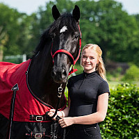 Ohlávka pro koně QHP Oakleigh Sunset Red