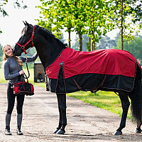 Ohlávka pro koně QHP Oakleigh Sunset Red