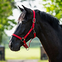 Ohlávka pro koně QHP Oakleigh Sunset Red