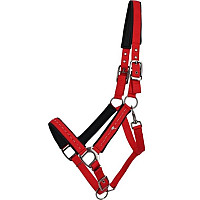 Ohlávka pro koně QHP Oakleigh Sunset Red