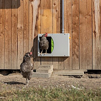 Dvířka kurníku pro slepice KERBL SmartCoop