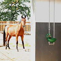 Misková napáječka pro koně a telata SUEVIA 12P 3/4" růžová