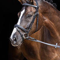 Uzdečka kožená Covalliero Classic černá vel. full