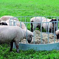 Krmelec kruhový pro ovce - rovné stání