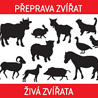 Plastová cedulka - PŘEPRAVA ZVÍŘAT