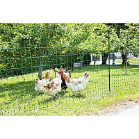 Vodivá síť pro drůbež PoultryNet 106 cm x 50 m zelená dvojitá špička