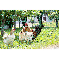 Vodivá síť pro drůbež PoultryNet 106 cm x 50 m zelená dvojitá špička
