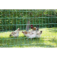 Vodivá síť pro drůbež PoultryNet 106 cm x 50 m zelená dvojitá špička