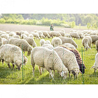 Vodivá síť pro ovce TitanNet 108 cm dvojitá špička