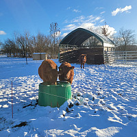 Izotermický napájecí žlab ISOBAR 250