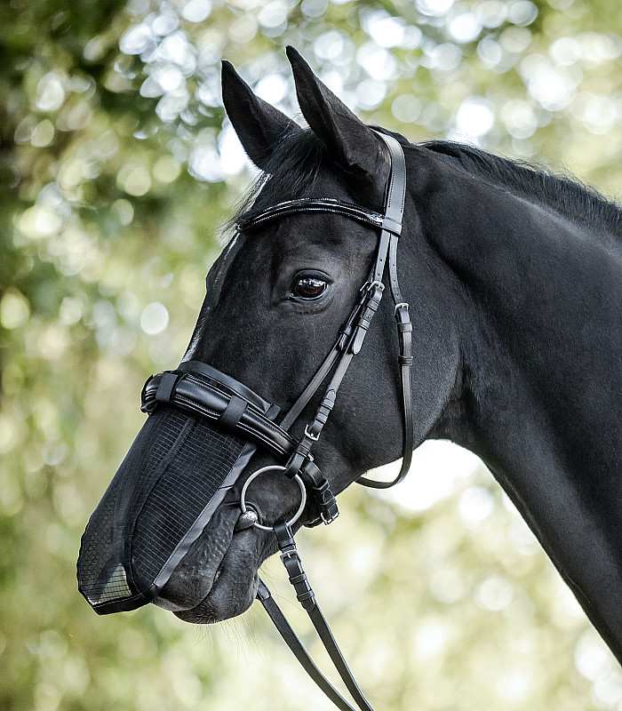 Síťka proti hmyzu na nos Waldhausen Nose Fly Shield černá