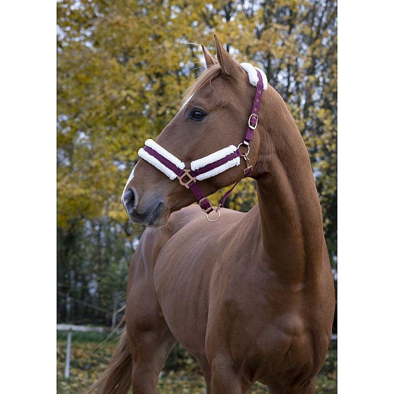 Stájová ohlávka Norton Confort nylonová s beránkem vínová
