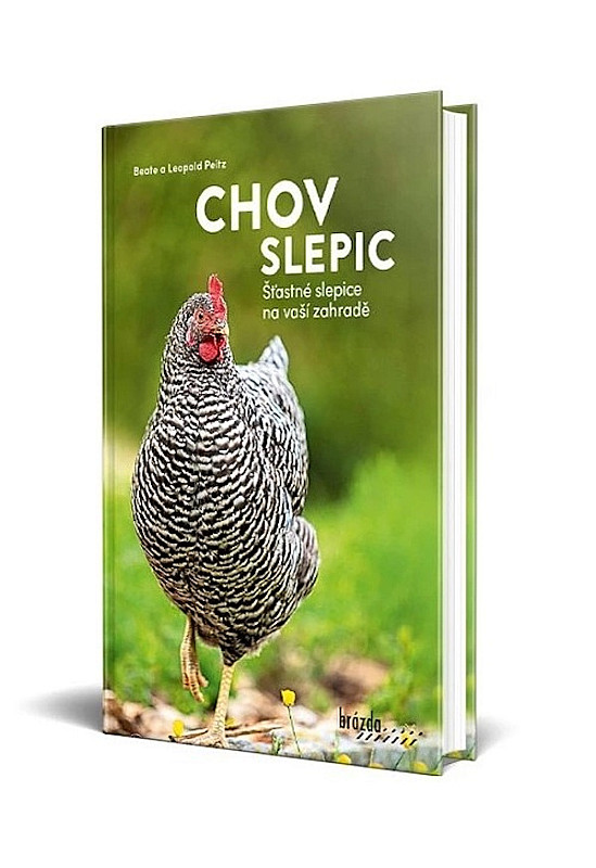 Chov slepic - Šťastné slepice na vaší zahradě