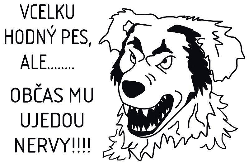 Plastová cedulka ALM - VCELKU HODNÝ PES
