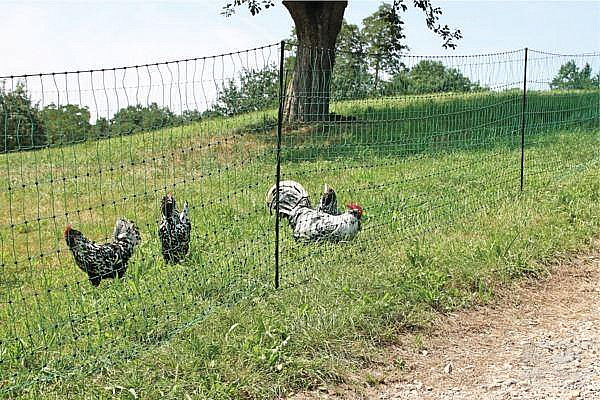 Nevodivá síť pro drůbež 112 cm jednoduchá špička