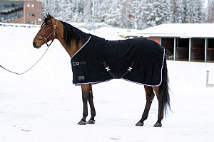 Vlněná odpocovací deka WAHLSTÉN Svart Heavy černá vel. 155 cm