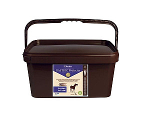 Doplňkové krmivo pro koně FITMIN Gastric protector 4 kg