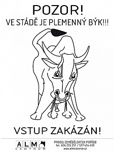 Plastová cedulka ALM - POZOR BÝK lesklá na výšku