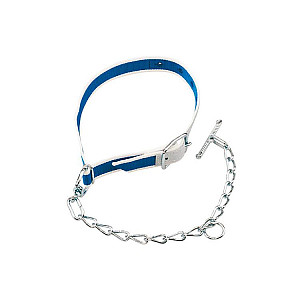Krční řemen pro telata s jednodílným řetězem - modrobílý 85 x 4 cm